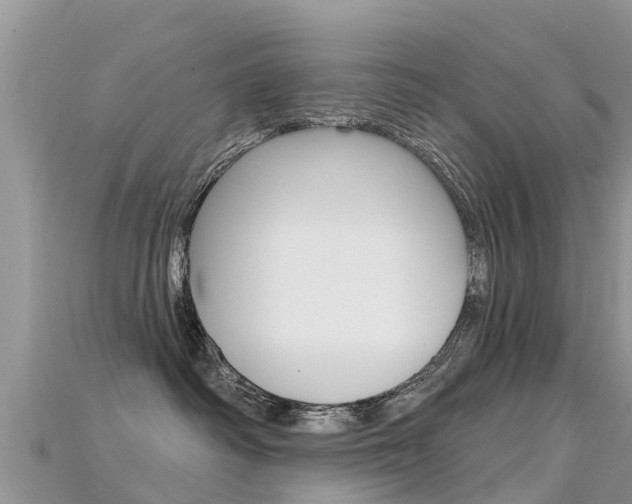 X0000115690334200911121013