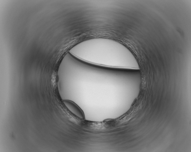 X0000115690335200911121013