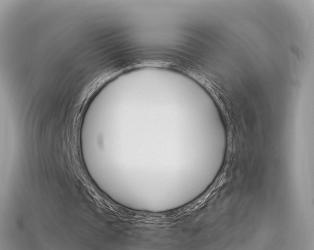 X0000115690337200911121012