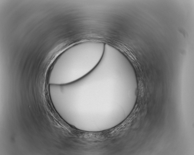 X0000115690338200911121012