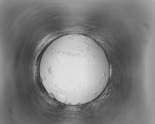 X0000115690339200911121012