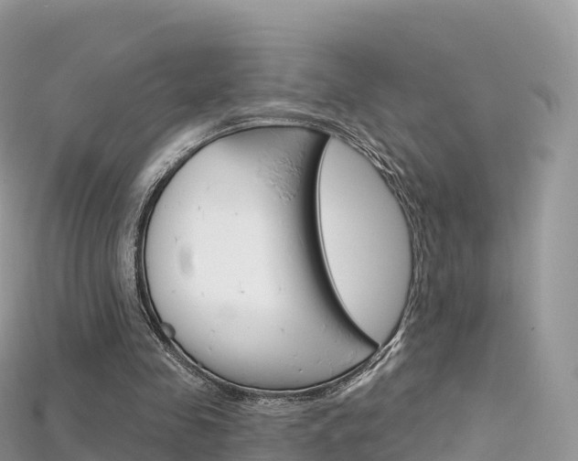 X0000115690341200911121012