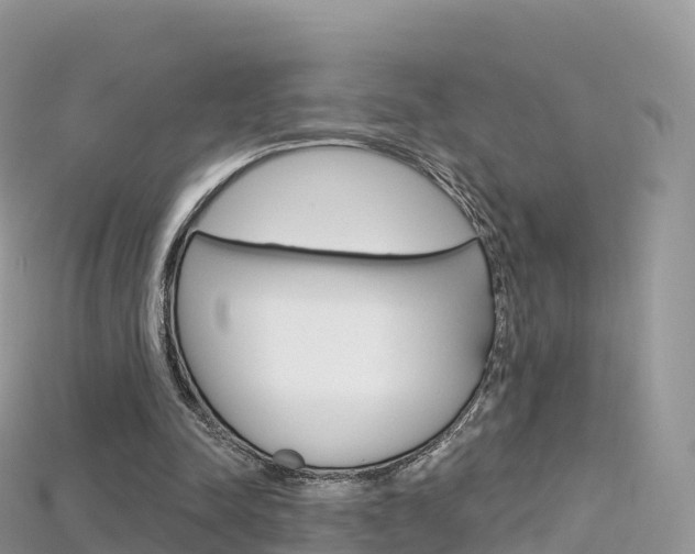X0000115690342200911121012