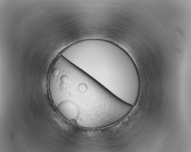 X0000115690345200911121012