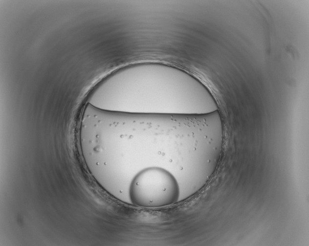 X0000115690346200911121012