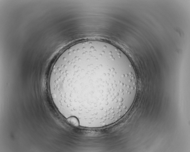 X0000115690347200911121012