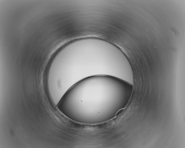 X0000115690350200911121013