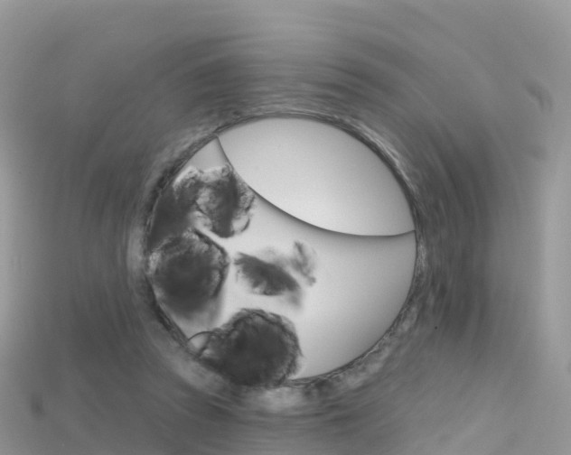 X0000115690353200911121013