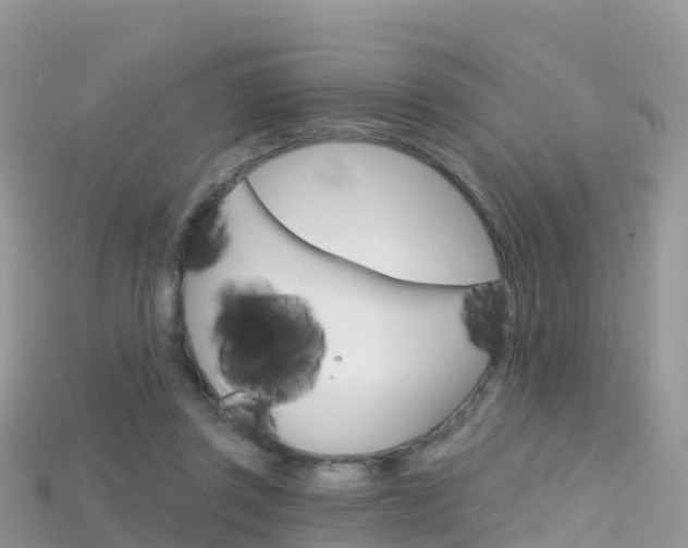 X0000115690357200911121013
