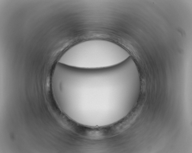 X0000115690358200911121013