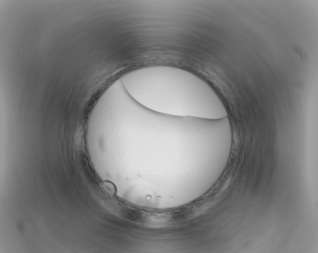 X0000115690359200911121013