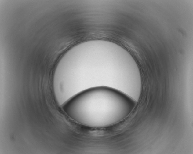 X0000115690362200911121013