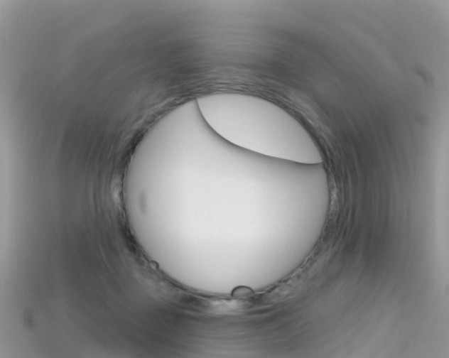 X0000115690363200911121013