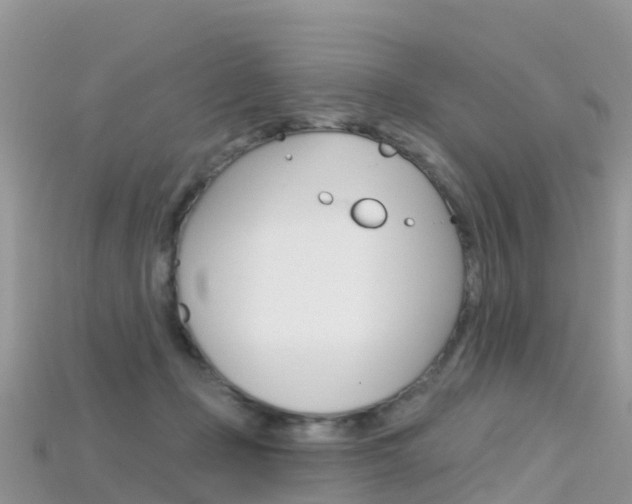 X0000115690365200911121013