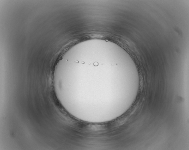 X0000115690367200911121013