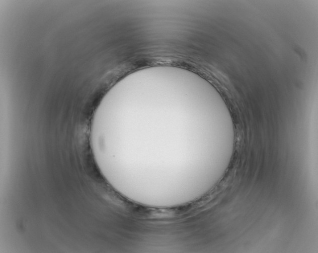X0000115690369200911121013