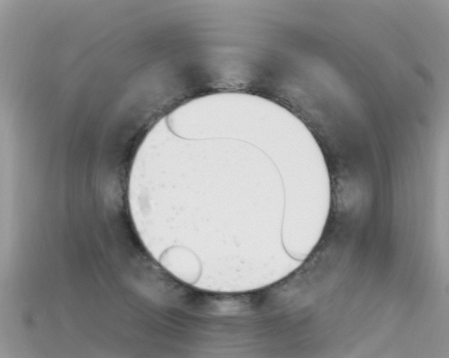 X0000115690370200911121013