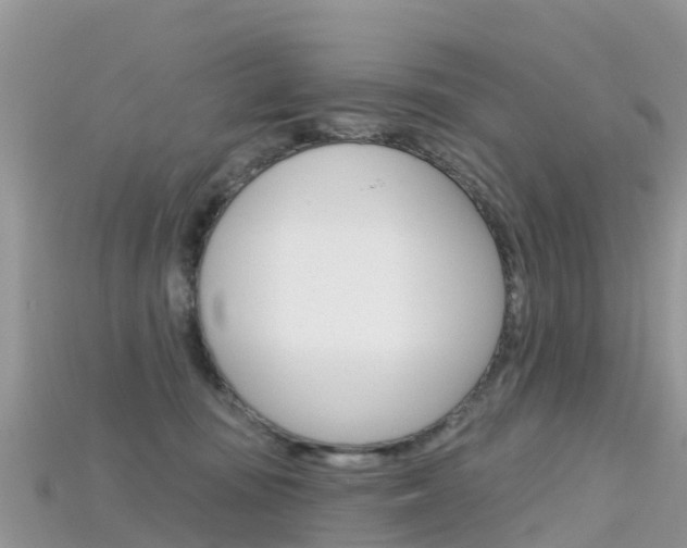X0000115690371200911121013