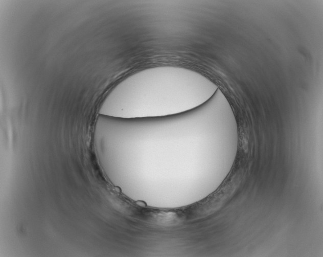 X0000115690374200911121013