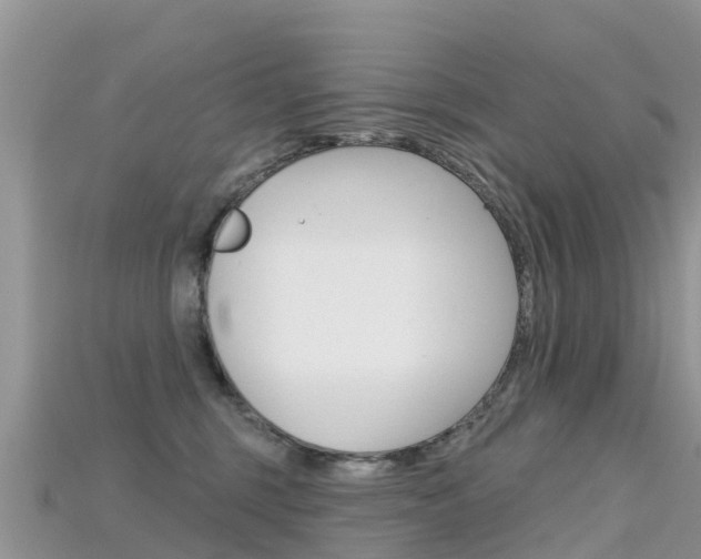 X0000115690375200911121013