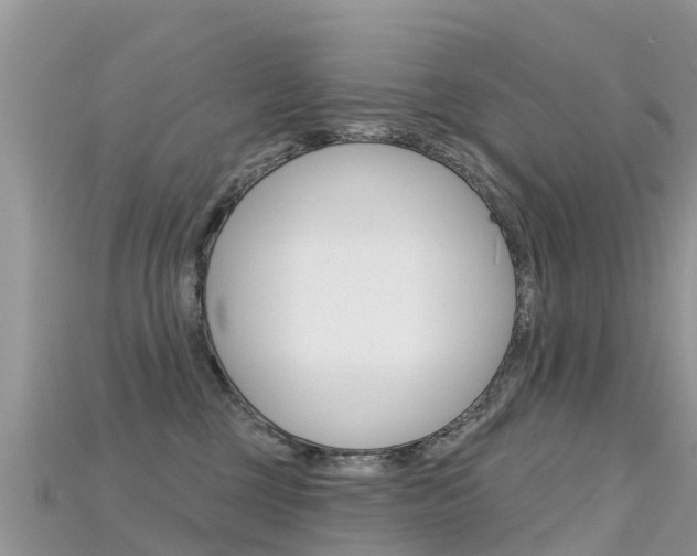 X0000115690377200911121013