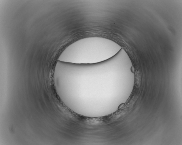 X0000115690378200911121013