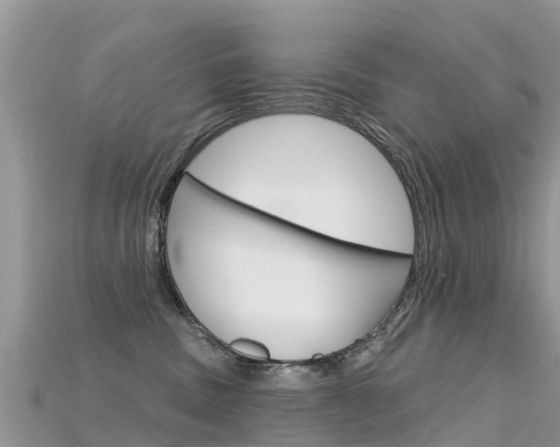 X0000115690379200911121013
