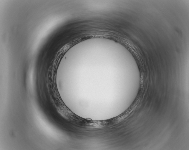 X0000115690381200911121013