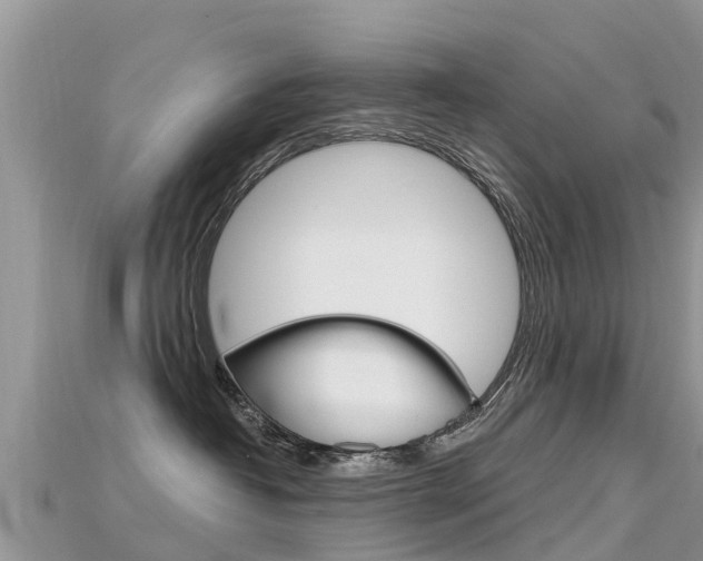 X0000115690382200911121013