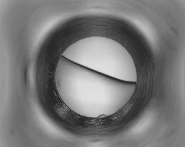 X0000115690383200911121013