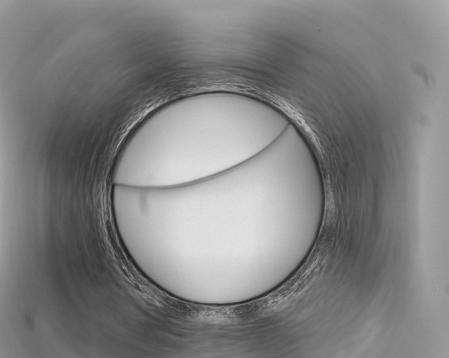 X0000115690386200911121012