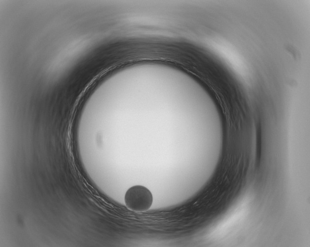 X0000115690387200911121012