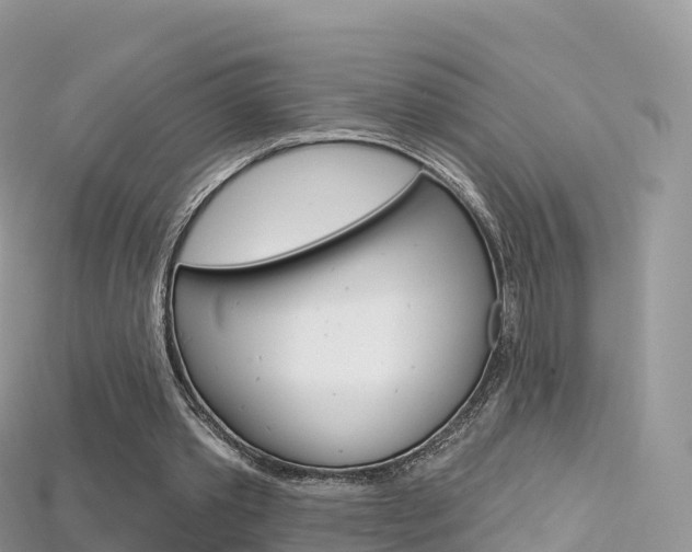 X0000115690389200911121012