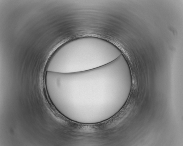 X0000115690390200911121012