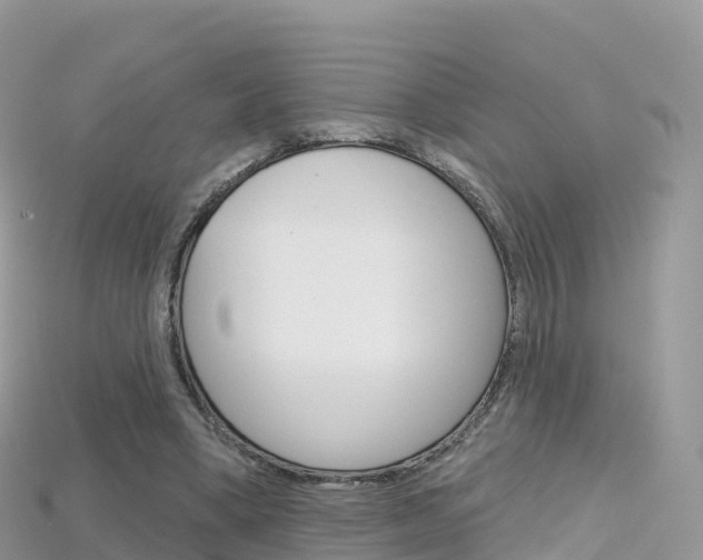 X0000115690394200911121012
