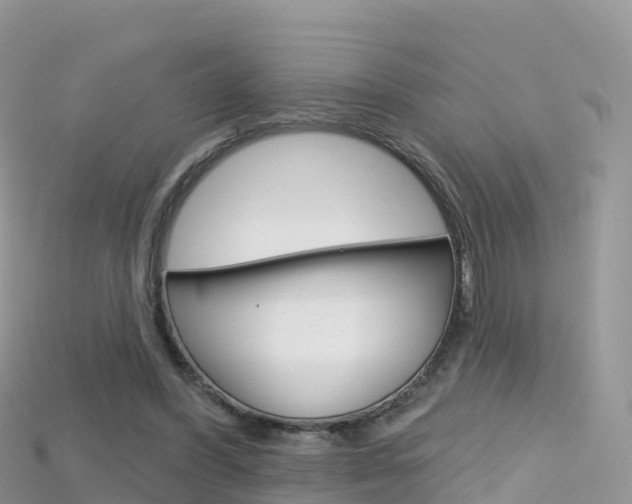 X0000115690396200911121012