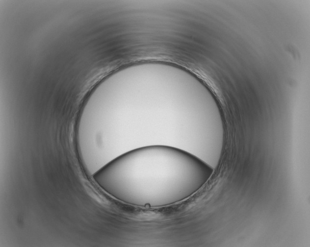 X0000115690397200911121012