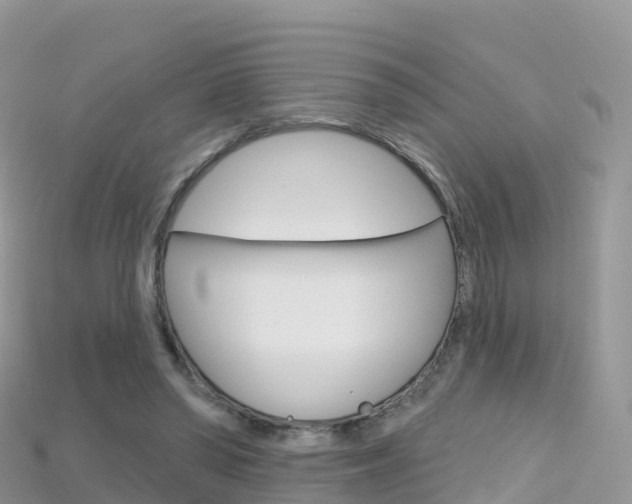 X0000115690398200911121012