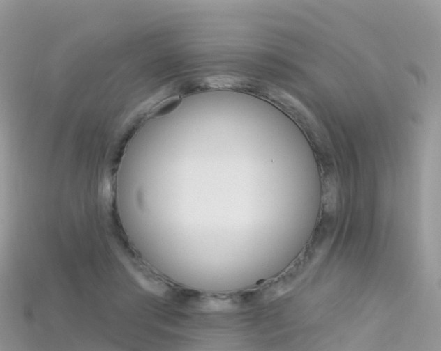 X0000115690405200911121012