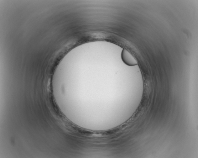 X0000115690406200911121012