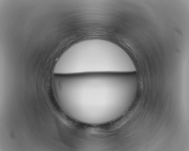 X0000115690408200911121012