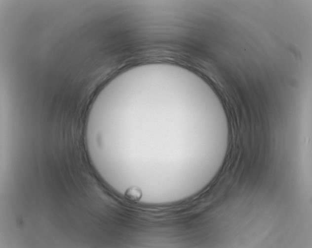 X0000115690411200911121012