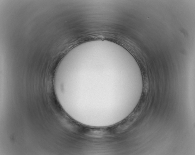 X0000115690414200911121012