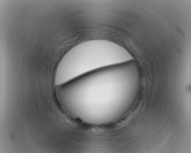 X0000115690416200911121012