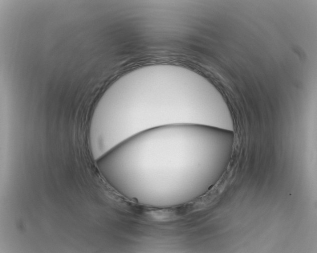 X0000115690417200911121012