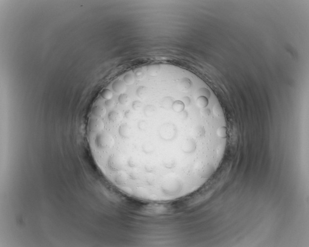 X0000115690418200911121012
