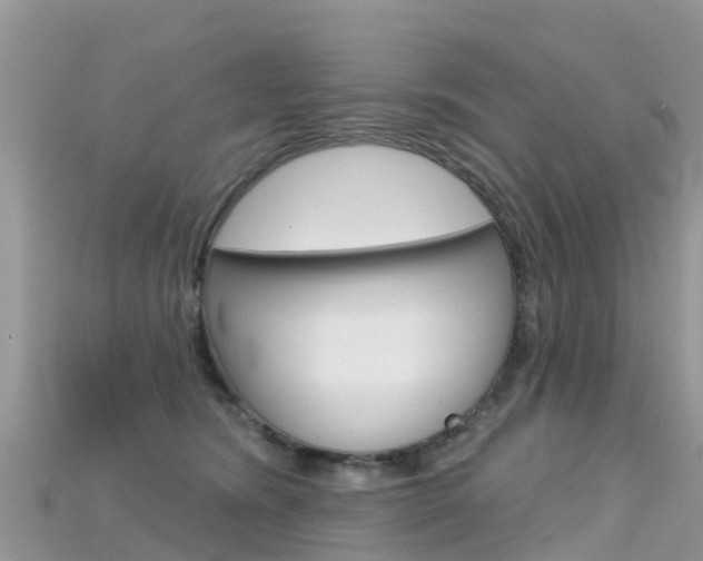X0000115690420200911121012