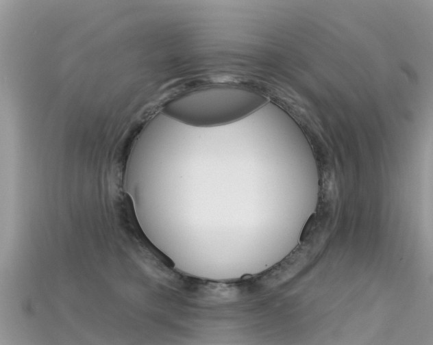 X0000115690421200911121012