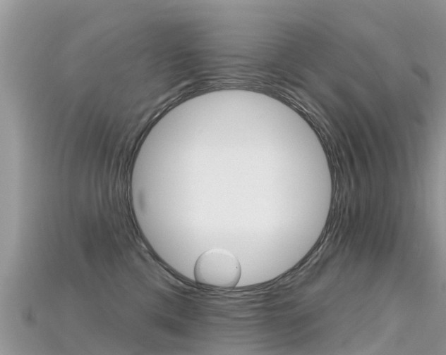 X0000115690425200911121012