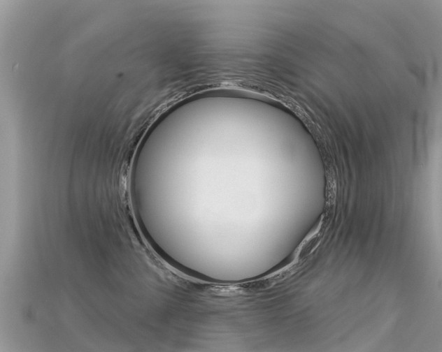 X0000115690427200911121012